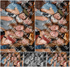 Evenement foto: 2708