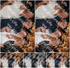 Evenement foto: 2708