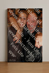 Evenement foto: 2708