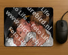 Evenement foto: 2707