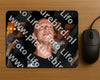 Evenement foto: 2705