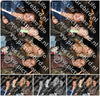 Evenement foto: 2704