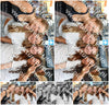 Evenement foto: 2702