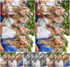 Evenement foto: 2702
