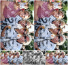 Evenement foto: 2699