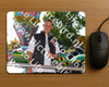 Evenement foto: 2697