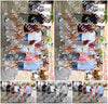 Evenement foto: 2696