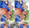 Evenement foto: 2695