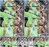 Evenement foto: 2695