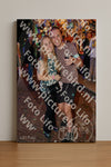 Evenement foto: 1272