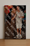Evenement foto: 1271