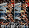 Evenement foto: 1270