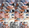 Evenement foto: 1264