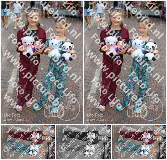 Evenement foto: 1264