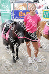Evenement foto: 1263