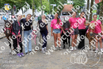 Evenement foto: 1263