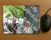 Evenement foto: 1263