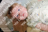 Evenement foto: 1263
