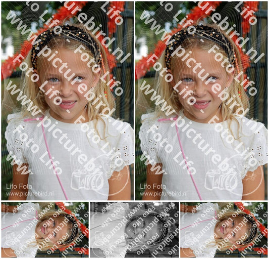 Evenement foto: 1263