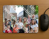 Evenement foto: 1263