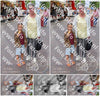 Evenement foto: 1263