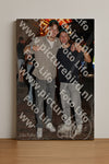 Evenement foto: 1240