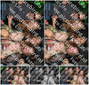 Evenement foto: 1239