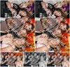 Evenement foto: 1239