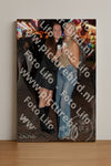 Evenement foto: 1238