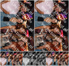 Evenement foto: 1236