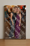 Evenement foto: 1236
