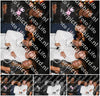 Evenement foto: 1236