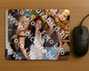 Evenement foto: 1236