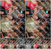 Evenement foto: 1234