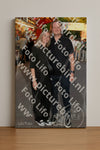 Evenement foto: 1233