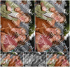 Evenement foto: 1233