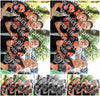 Evenement foto: 1232