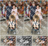 Evenement foto: 1230