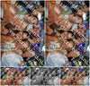 Evenement foto: 796