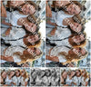 Evenement foto: 795