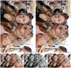 Evenement foto: 794