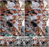 Evenement foto: 794