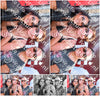 Evenement foto: 459