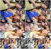 Evenement foto: 459