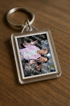 Evenement foto: 458