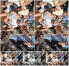Evenement foto: 456