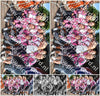 Evenement foto: 455