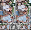 Evenement foto: 455