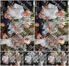 Evenement foto: 1274