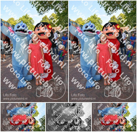 Evenement foto: 1273